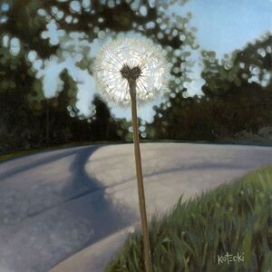 🔹️NIB Black Framed 12x12 Wall Decor